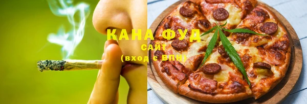 дживик Бородино