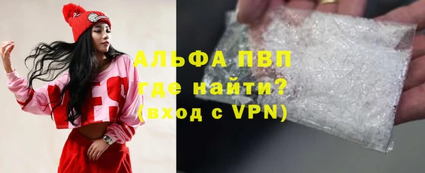дживик Бородино