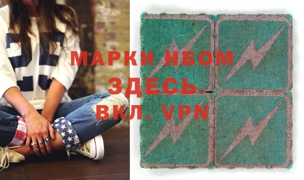 дживик Бородино