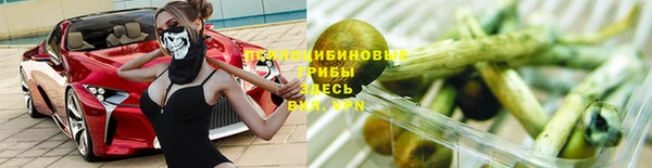 дживик Бородино