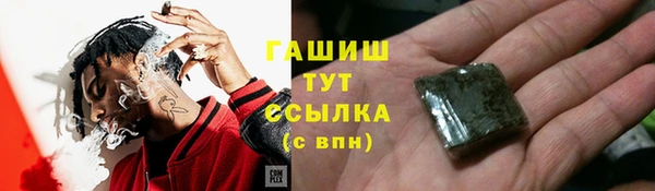 дживик Бородино