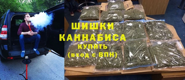 дживик Бородино