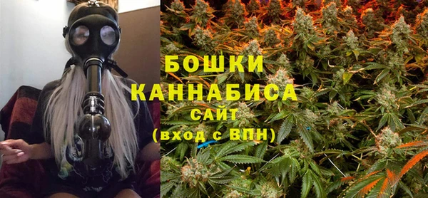 дживик Бородино