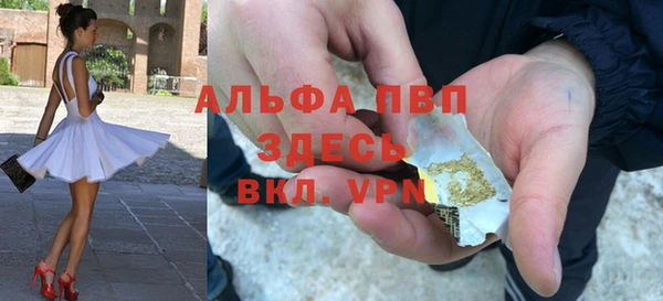 дживик Бородино
