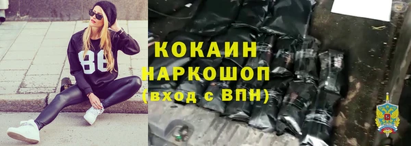 дживик Бородино