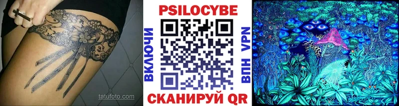 Галлюциногенные грибы MAGIC MUSHROOMS  где купить   Елизаветинская 
